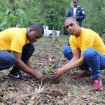 Privados de libertad siembran más de 16,000 árboles en cuenca del río Nizao