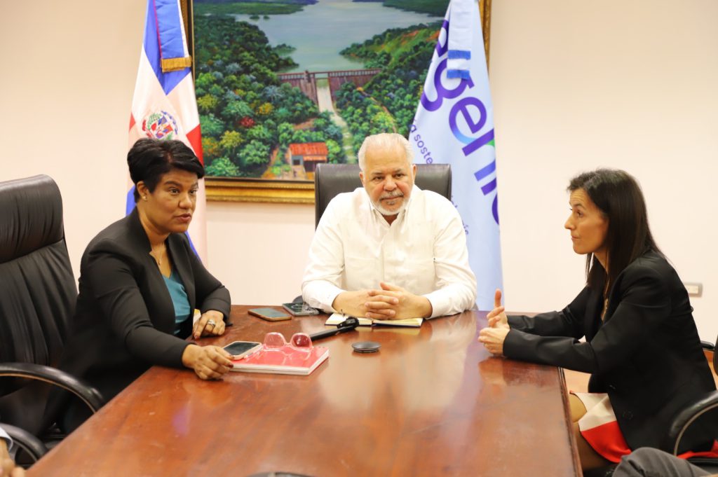 SANTO DOMINGO (R. Dominicana).- La Empresa de Generación Hidroeléctrica Dominicana (EGEHID) y el Fondo Sueco de Inversión para el Desarrollo (Swedfund) iniciaron las evaluaciones de las ofertas recibidas por parte de compañías interesadas en participar en el Proyecto de Repotenciación y Modernización de las Centrales Hidroeléctricas de Aguacate y Río Blanco .