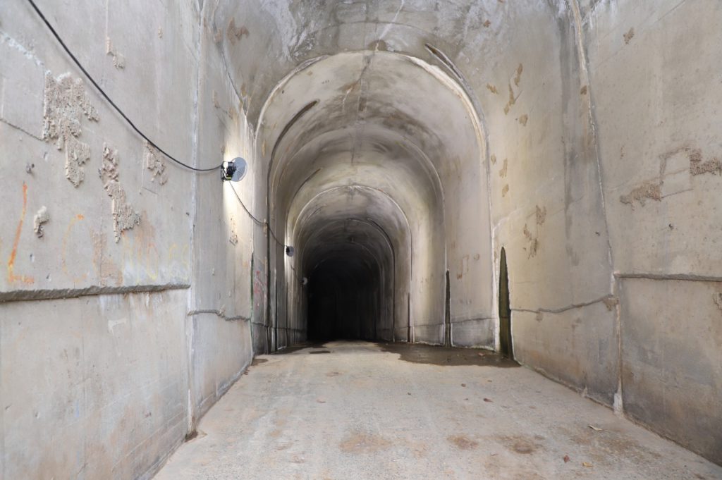 La Vega. (R. Dominicana). Tras poco más de dos décadas de convertir en sus refugios los túneles abandonados del proyecto presa de Guaigüí, la Empresa de Generación Hidroeléctrica Dominicana (EGEHID) ejecuta un operativo para sacar dos enormes colonias de murciélagos de esos espacios.