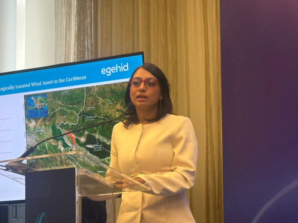 SANTO DOMINGO (R. Dominicana).- La Empresa de Generación Hidroeléctrica Dominicana (EGEHID) presentó el proyecto Tierra Nueva Eólico, en el marco de las sesiones de presentación de proyectos del Foro de Inversión de las Américas, evento afiliado al World Investment Conference (WIC) y organizado con el apoyo del Centro de Exportación e Inversión de la República Dominicana (ProDominicana).