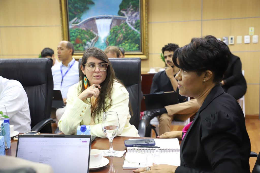 SANTO DOMINGO (R. Dominicana).- La Empresa de Generación Hidroeléctrica Dominicana (EGEHID) y la Agencia Francesa de Desarrollo (AFD) sostuvieron el primer encuentro de trabajo de evaluación de los aspectos técnicos y los estudios relacionados con el proyecto de financiamiento para la rehabilitación, modernización y repotenciación de las centrales hidroeléctricas del país.