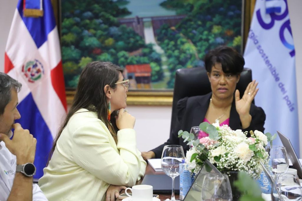 SANTO DOMINGO (R. Dominicana).- La Empresa de Generación Hidroeléctrica Dominicana (EGEHID) y la Agencia Francesa de Desarrollo (AFD) sostuvieron el primer encuentro de trabajo de evaluación de los aspectos técnicos y los estudios relacionados con el proyecto de financiamiento para la rehabilitación, modernización y repotenciación de las centrales hidroeléctricas del país.